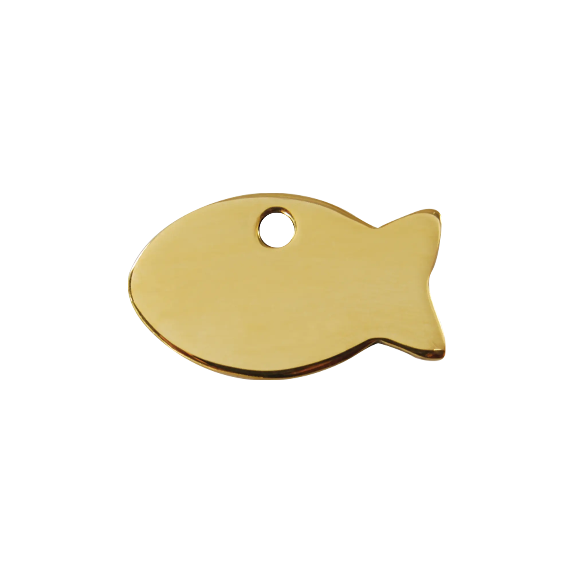 Fish Flat Brass pet tag