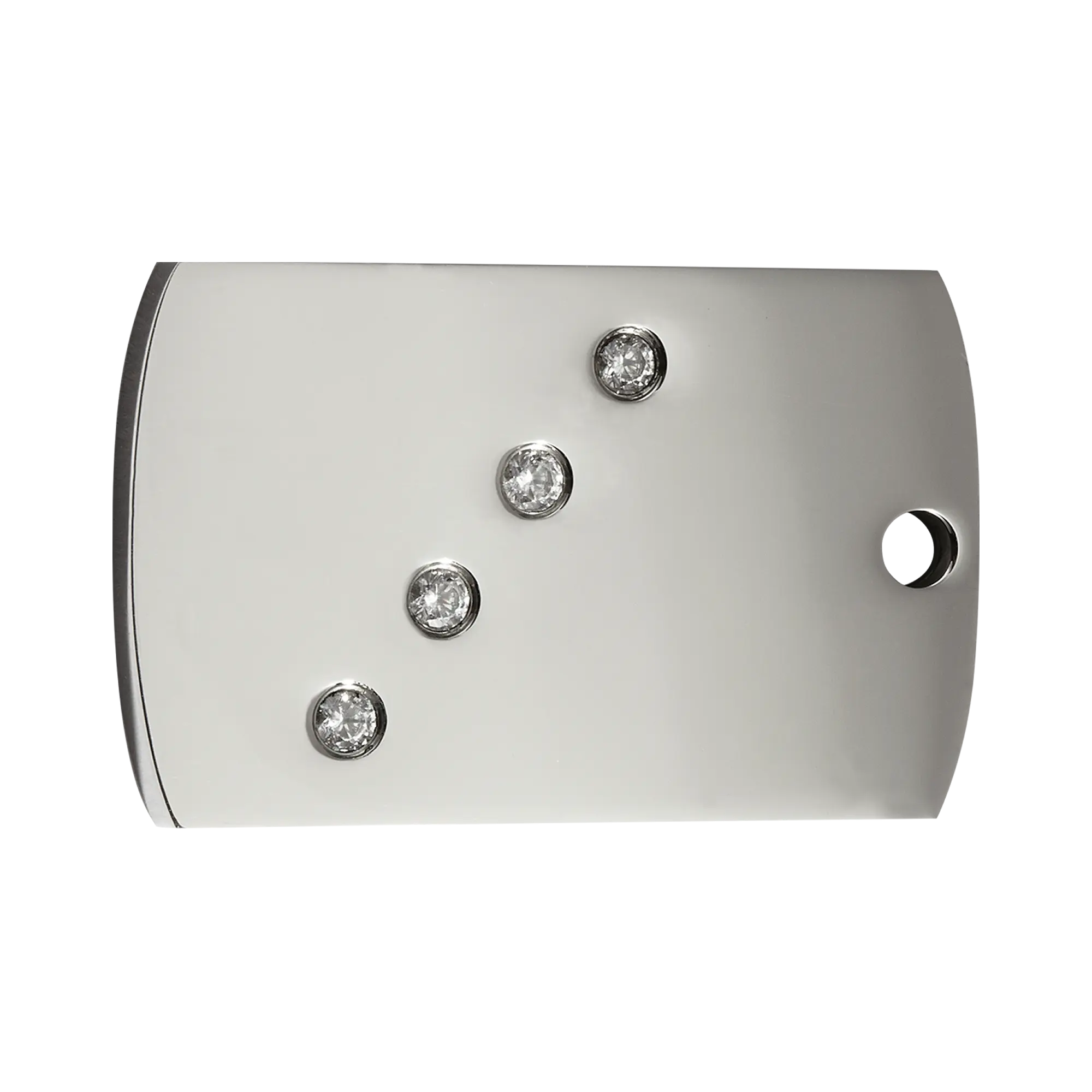 Rectangle Swarovski Diamante Polished Stainless Steel pet tag