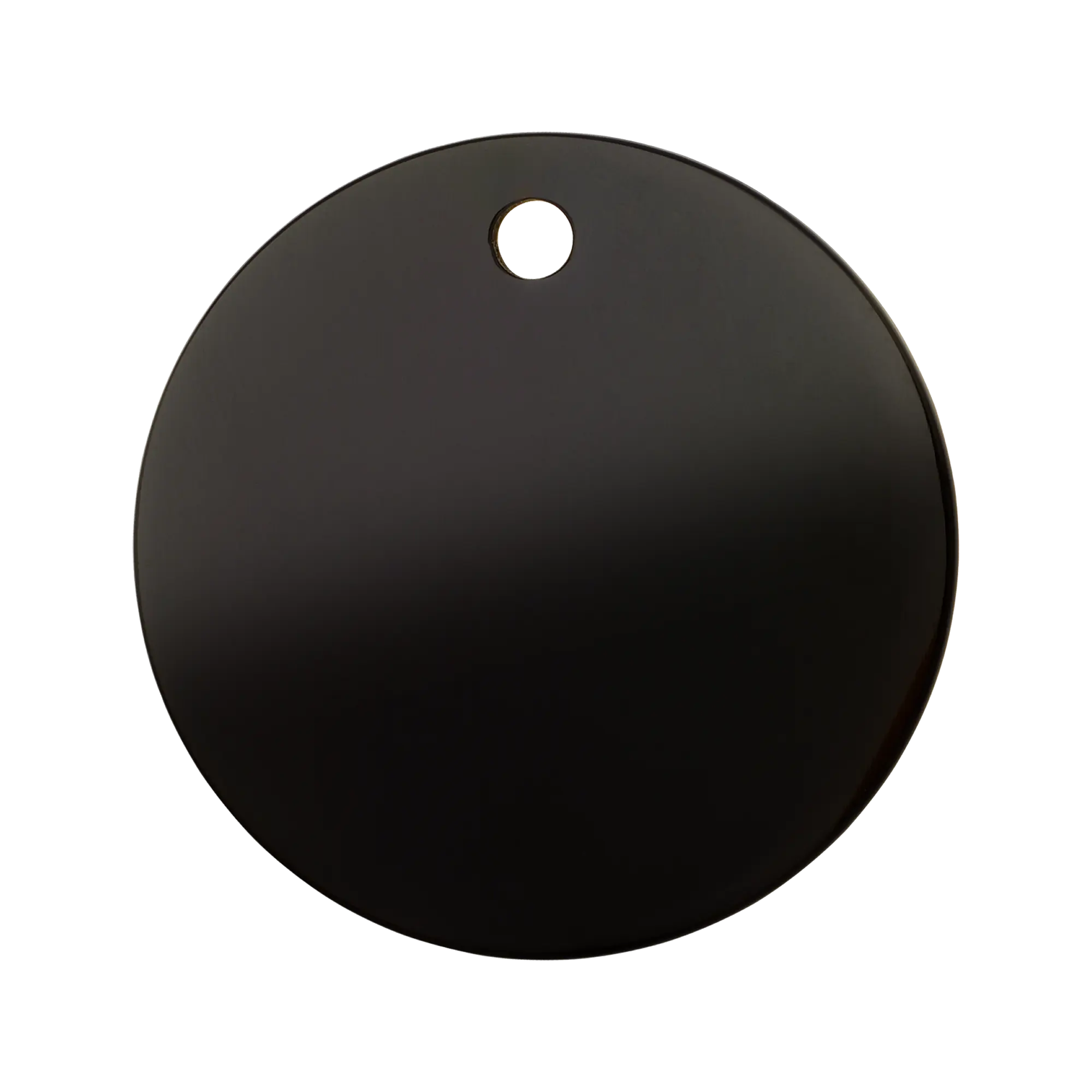 Circle Titanium Coated pet tag