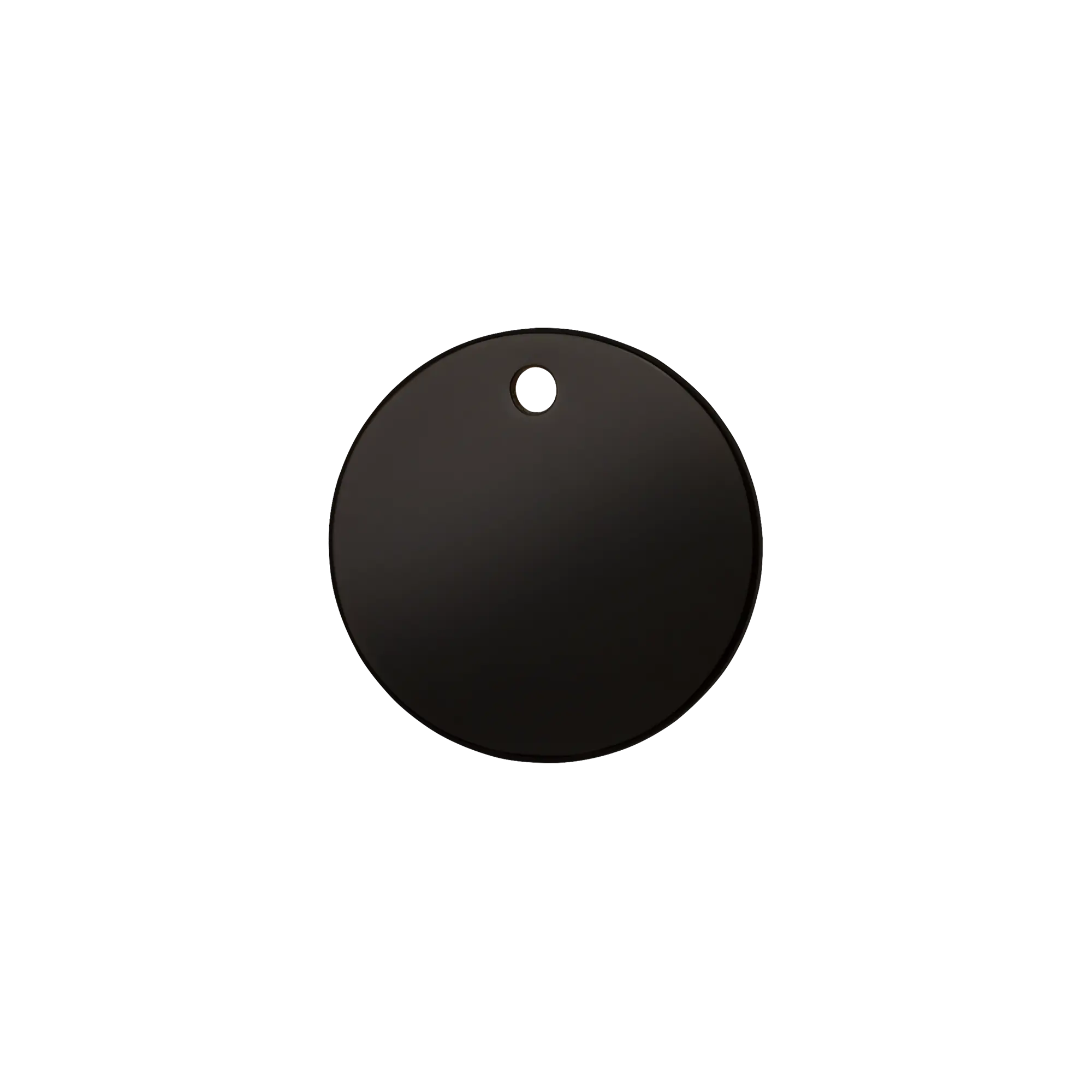 Circle Titanium Coated pet tag